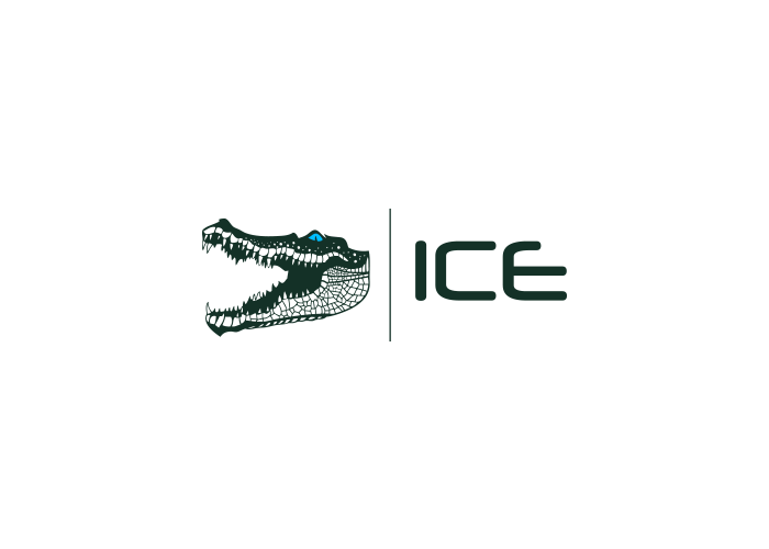 App Design by ApurbaMan for ICE Electronics | Design #9585520