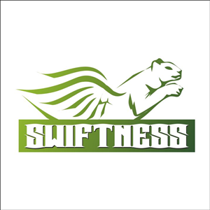 Logo Design by vava