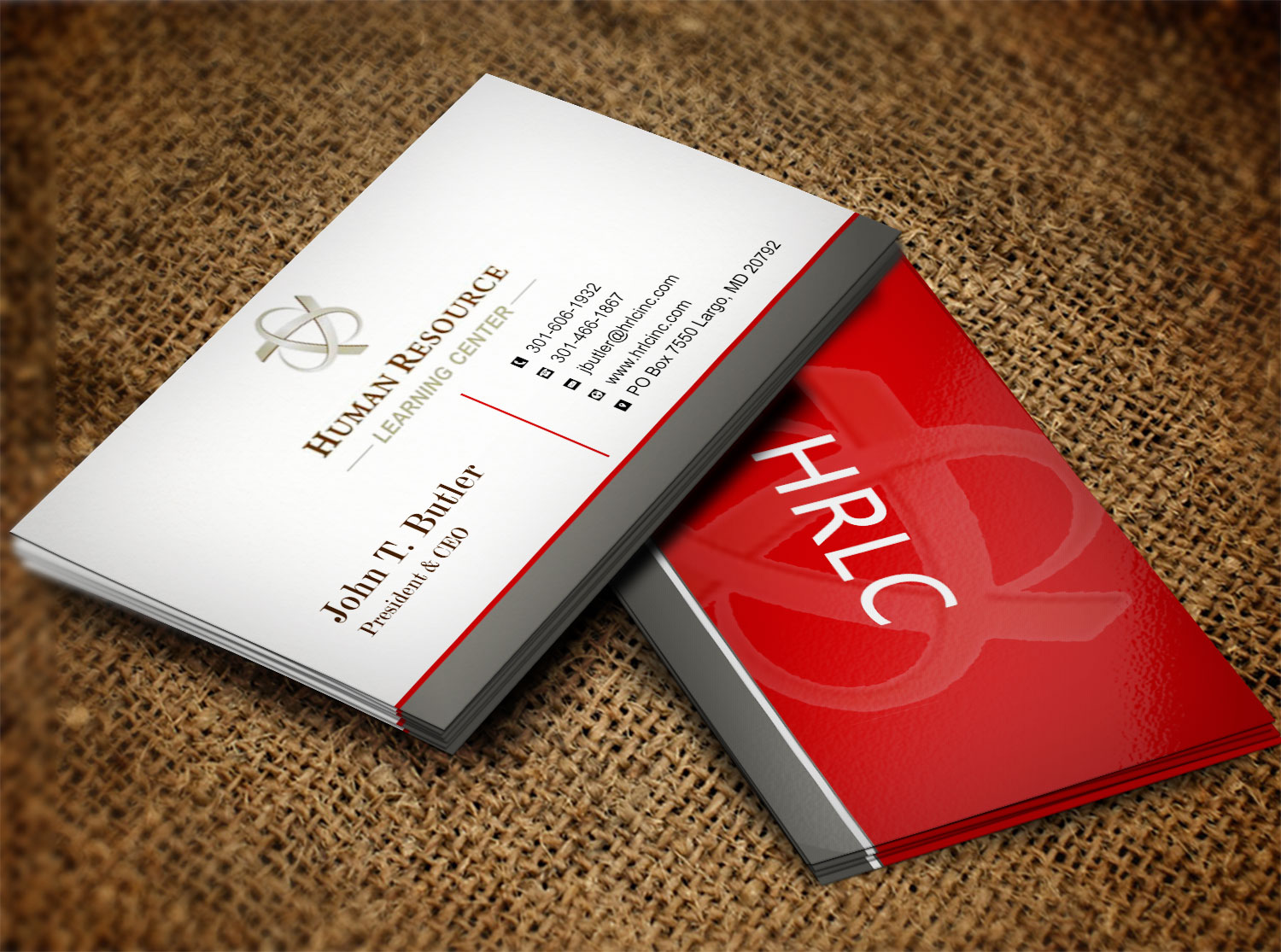 Business Card Design by Lanka Ama for this project | Design #9524369