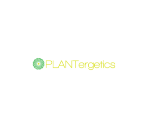 Logo Design by CA Designs