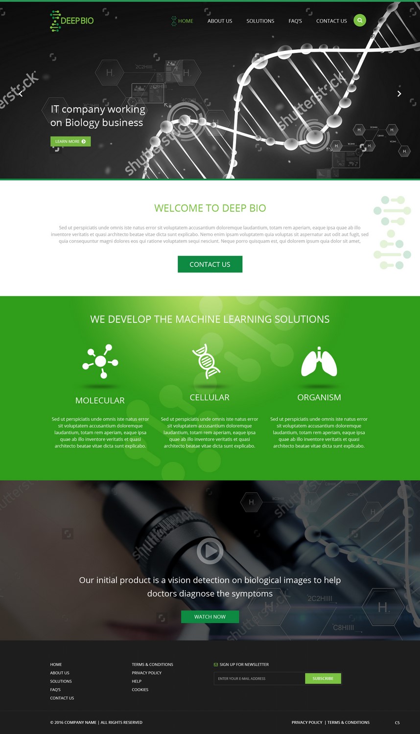Diseño Web por pb para este proyecto | Diseño #9532975