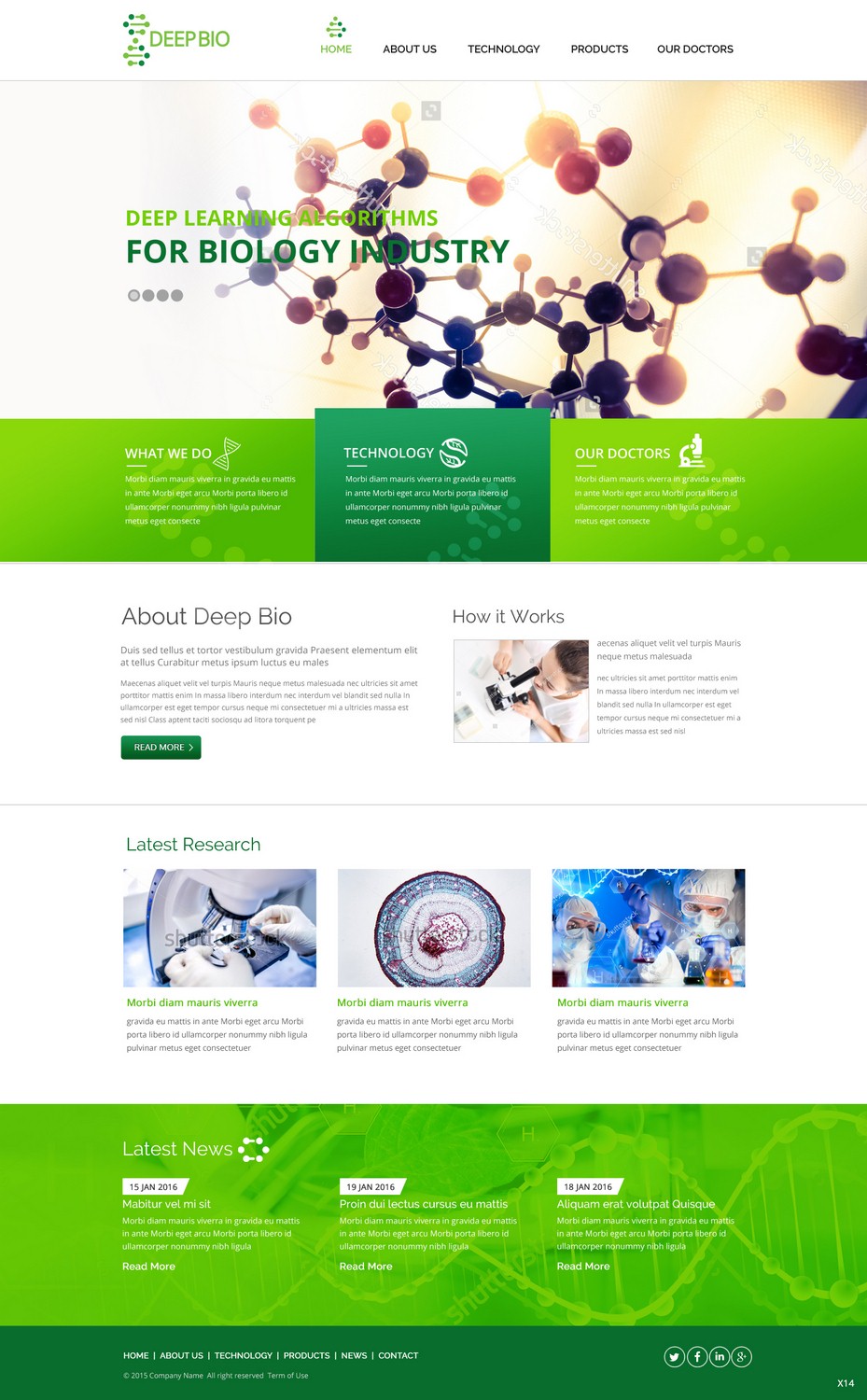 Diseño Web por pb para este proyecto | Diseño #9532978