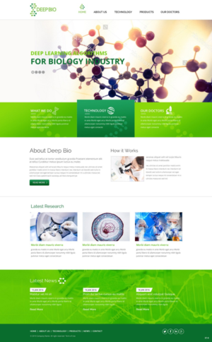 Diseño Web por pb para este proyecto | Diseño: #9532978
