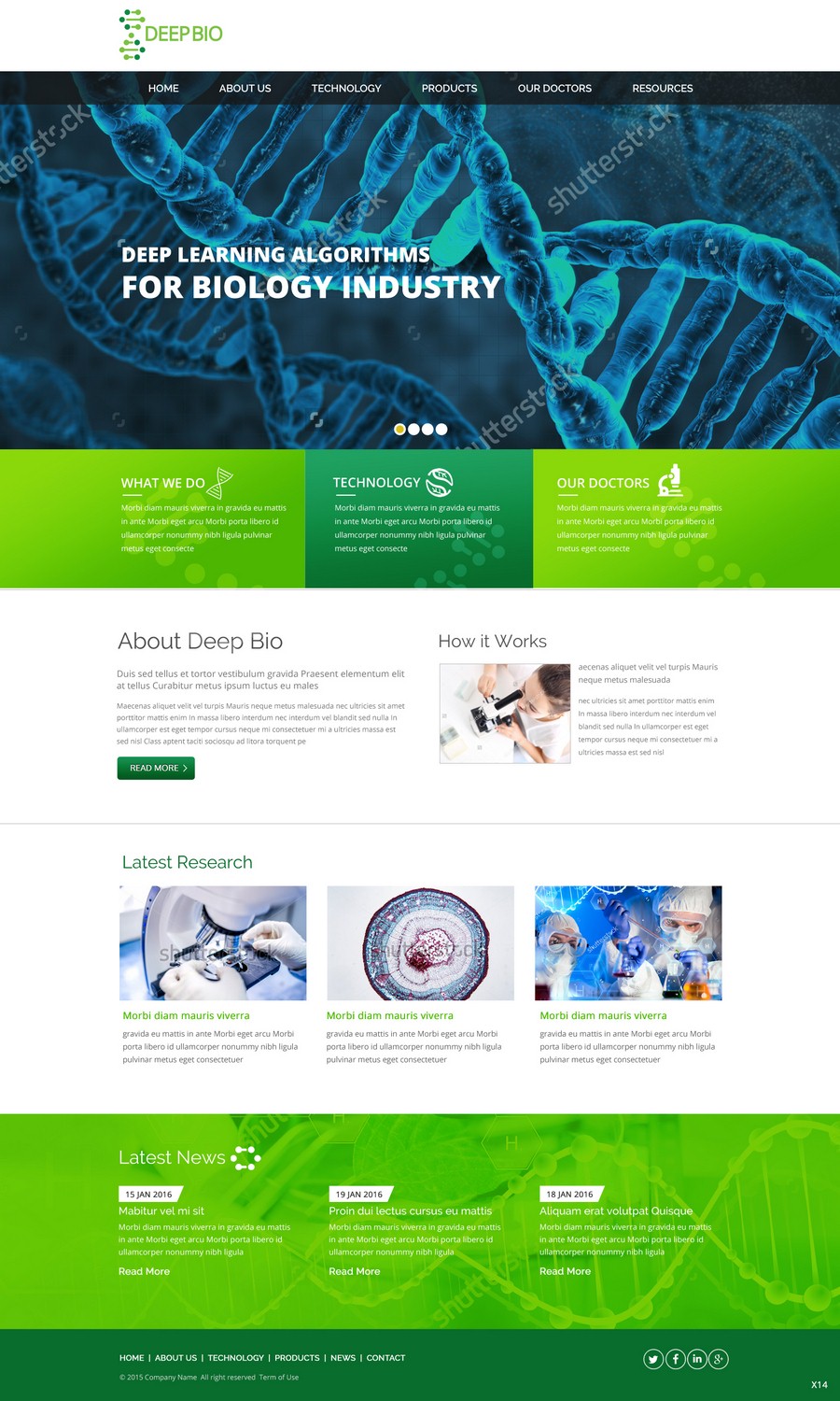 Diseño Web por pb para este proyecto | Diseño #9532979