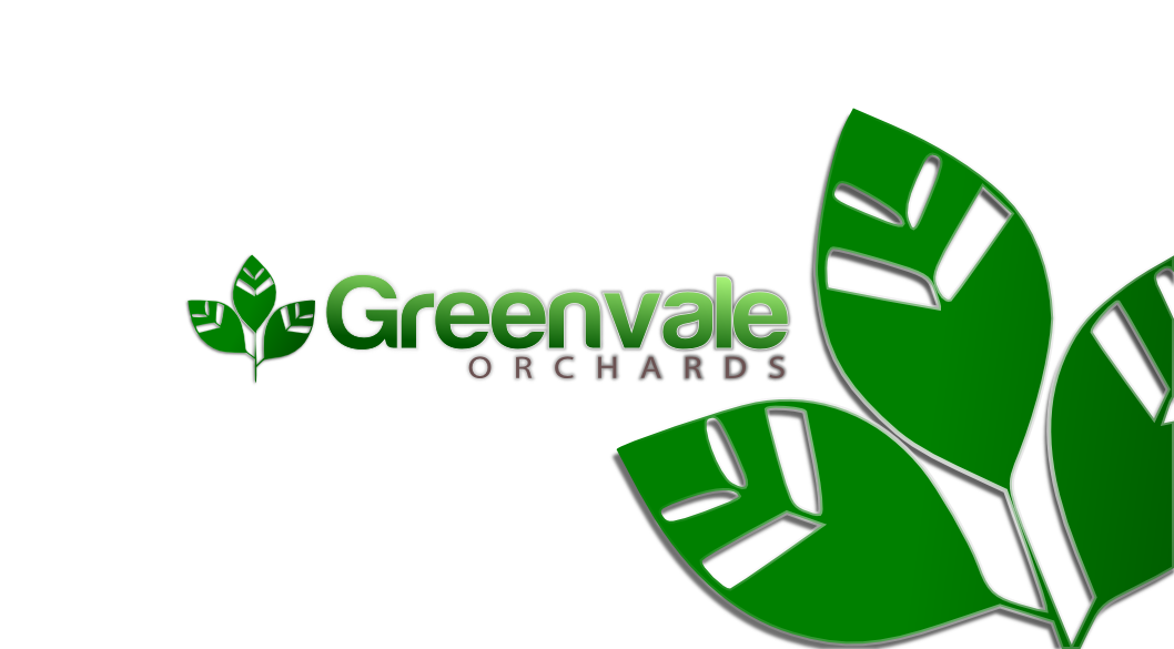 Logo Design by Giovanni for this project | Design #424115