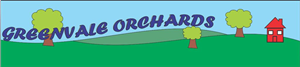 Logo Design by THE GURU