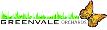 Logo Design by Dawn for this project | Design #433026