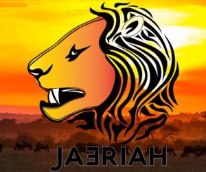 Logo Design by StelthDesignCo