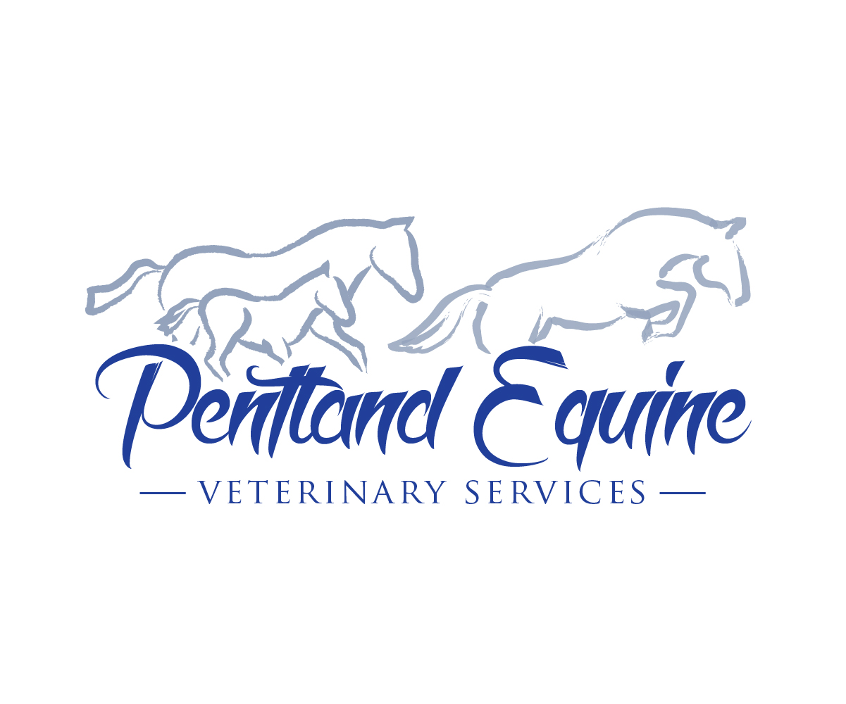 Logo Design by Irina Makedonska for this project | Design #9536024