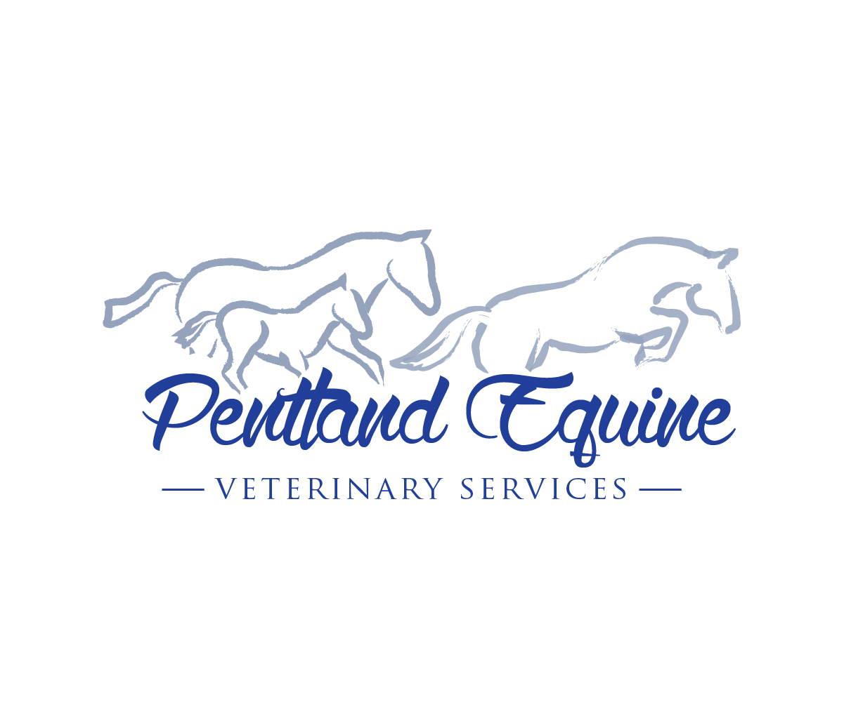 Design de Logo par Irina Makedonska pour ce projet | Design #9536025