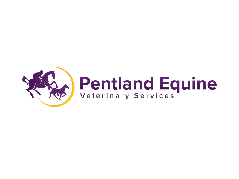 Logo Design by B.Tibéri for this project | Design #9532345