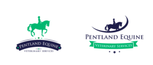 Logo Design by Carlos Alba D. for this project | Design #9511589