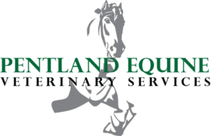 Logo Design by anthony.ramos for this project | Design #9556845