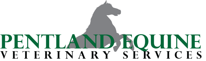 Logo-Design von anthony.ramos für dieses Projekt | Design #9556847