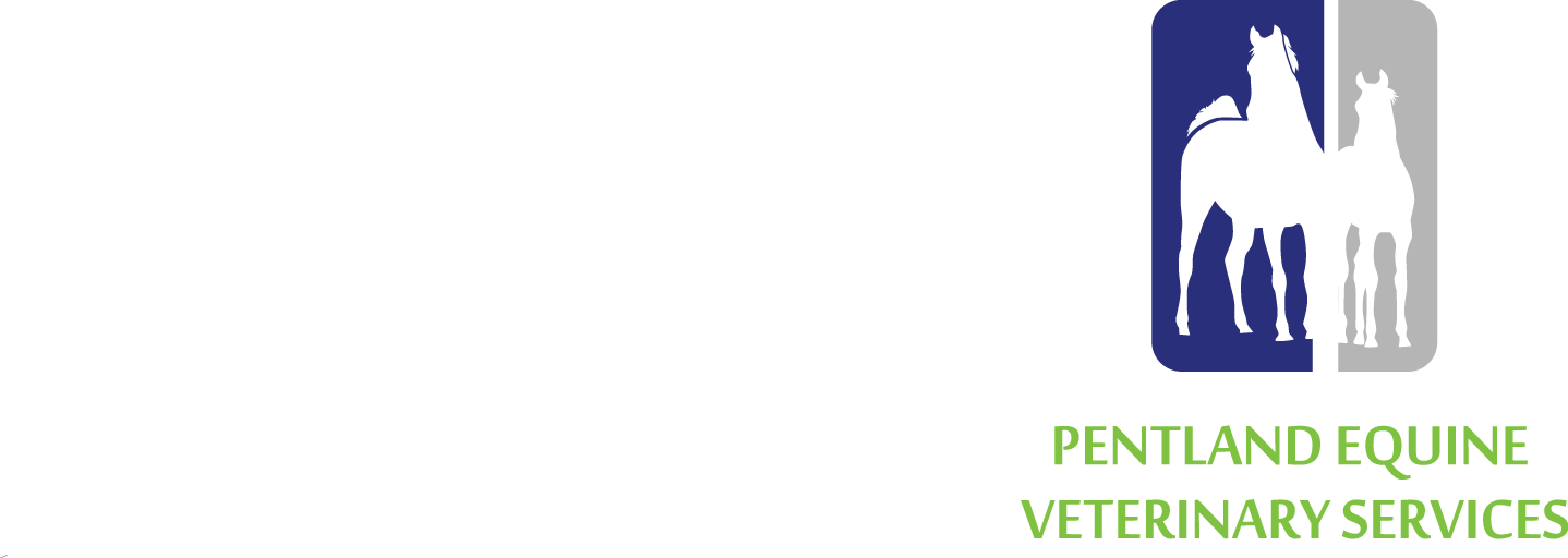 Logo-Design von 19Myhonsaputra für dieses Projekt | Design #9533466