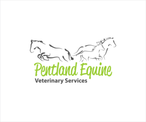 Logo Design by Diana999