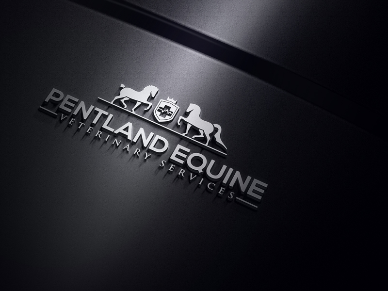 Design de Logo par spring TM pour ce projet | Design #9513001