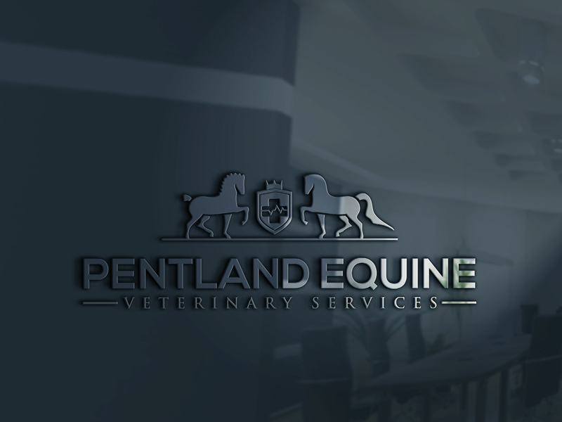 Logo Design by spring TM for this project | Design #9513003