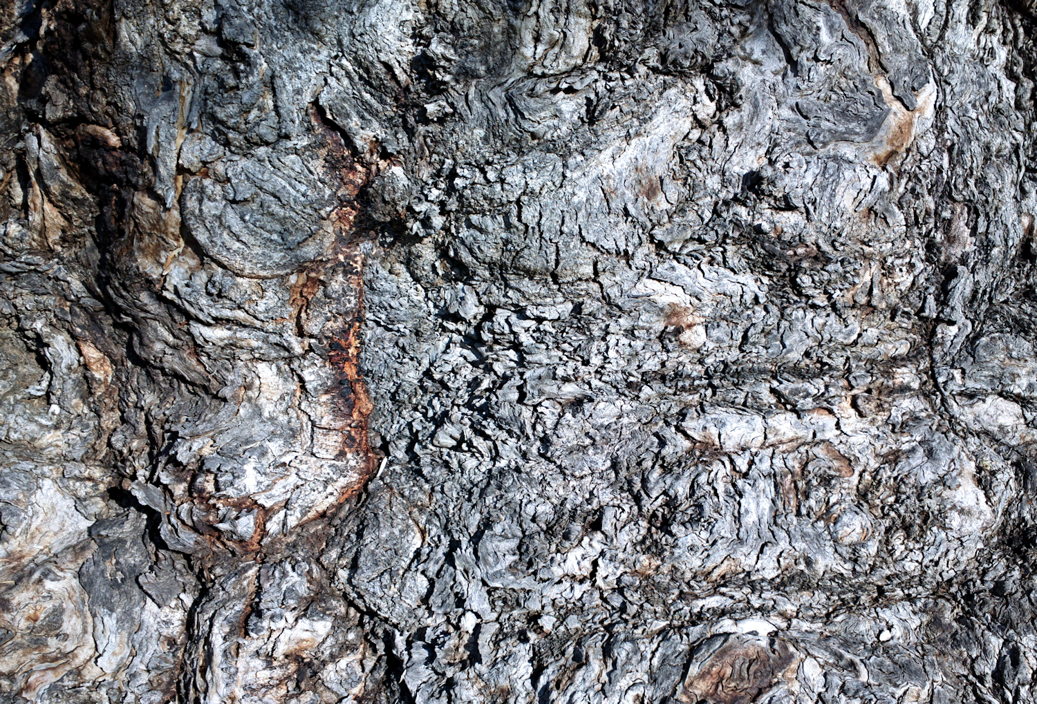 Photography by Dorothydix for DesignCrowd (Community Contests) | Design #9567784