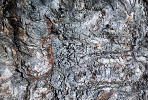 Photography by Dorothydix