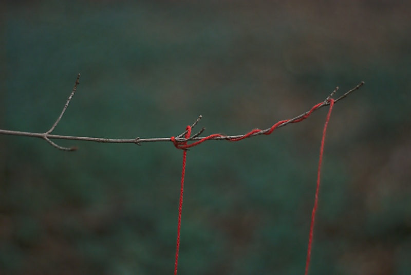 Fotografía por MihkeleUkulele para DesignCrowd (Community Contests) | Diseño #9521525