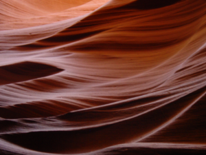 Photography by Gloria Wilkins