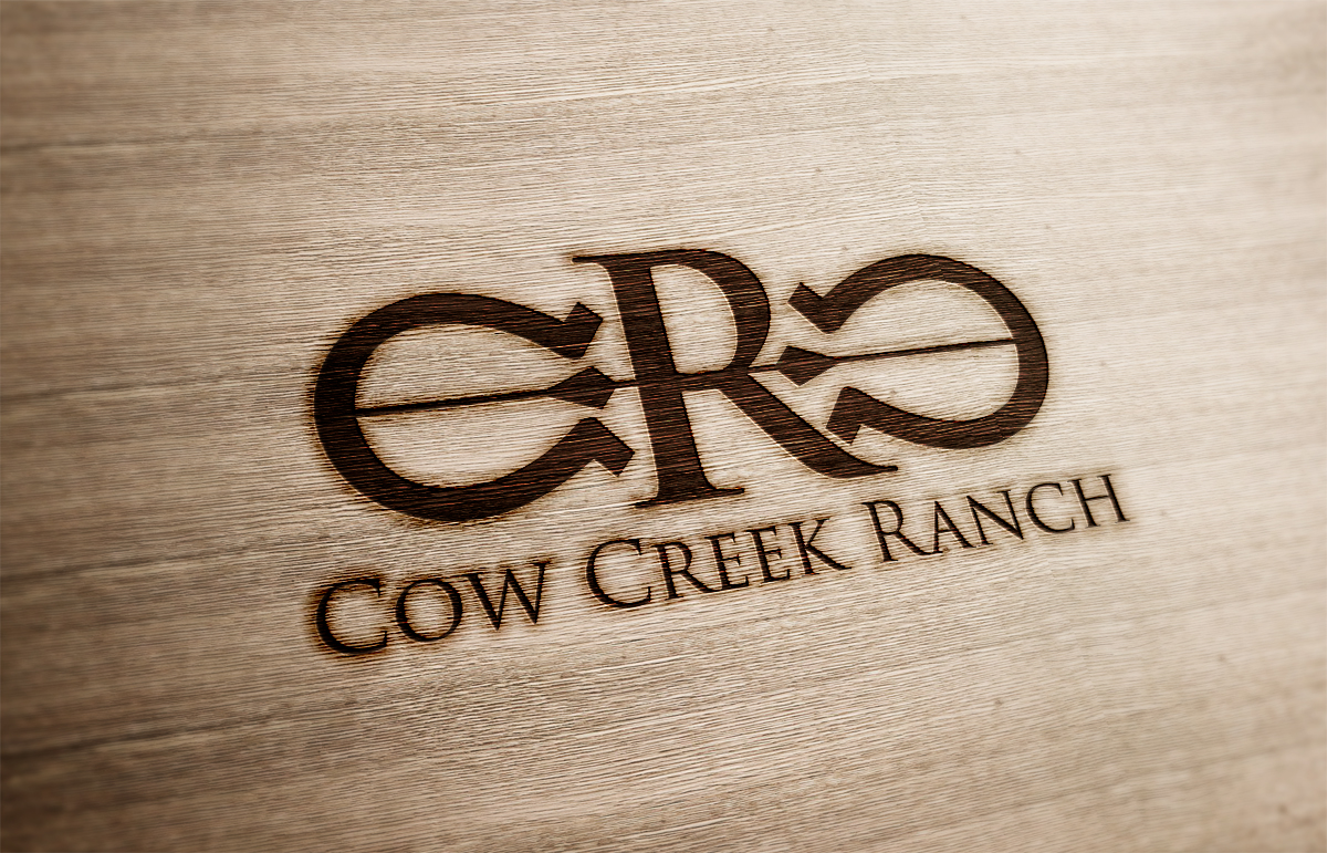 Logo Design by nvisiondesign.co.uk for this project | Design #9520683
