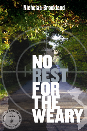 Diseño de portada de libro por Bazzie L para Author | Diseño: #2093081