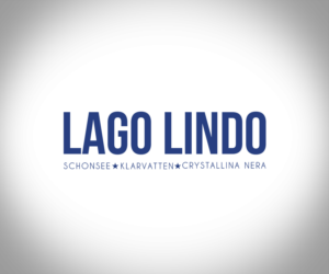 Design de Logo par Zane_Graph_Design pour Redsphere Consulting Services | Design : #10050837