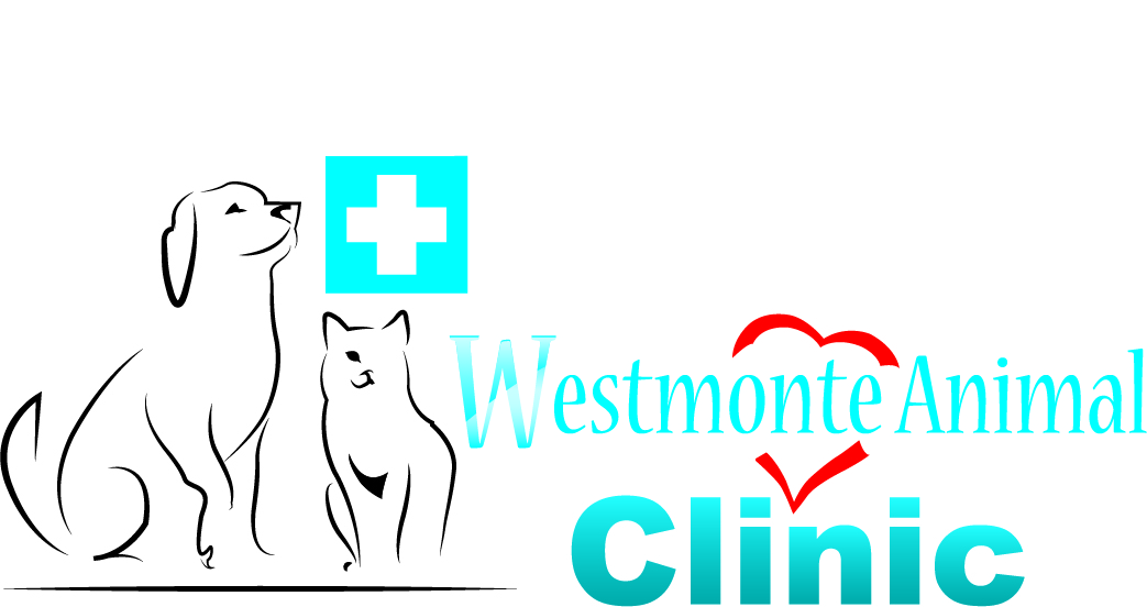 Design de Logo par kasundilshan pour Westmonte Animal Clinic | Design #2086026