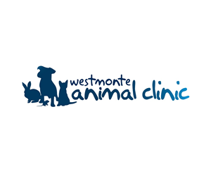 Logo Design by DesignCreative
