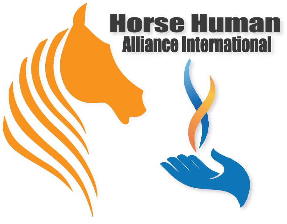 Logo Design by adawi7 for Website Movement, LLC | Design #9530628