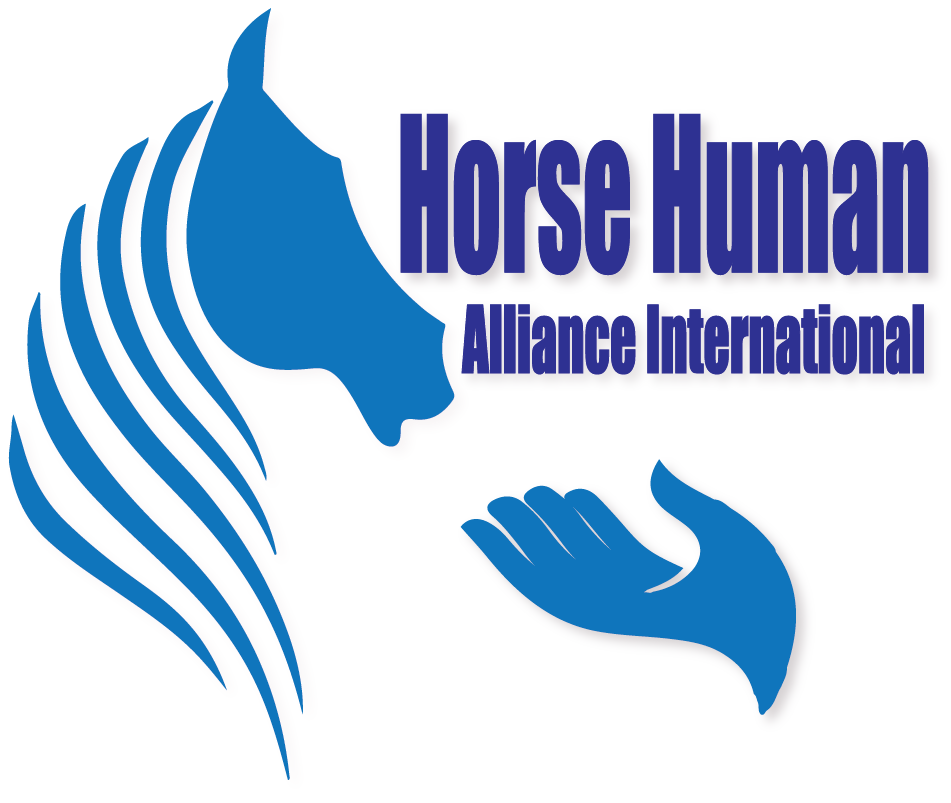 Logo Design by adawi7 for Website Movement, LLC | Design #9530956