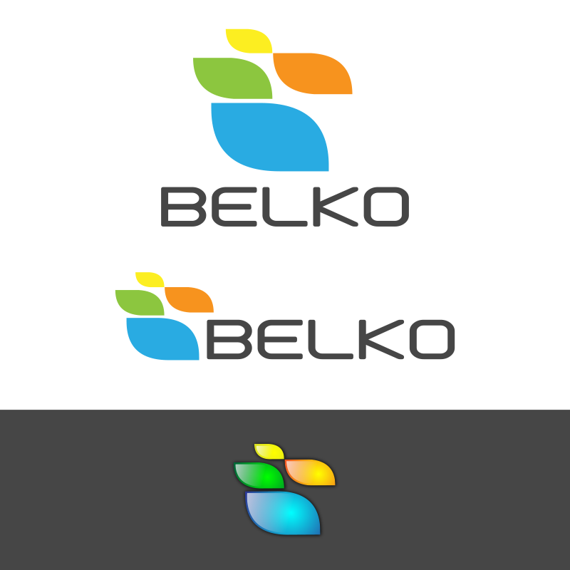Logo Design by ZVRIO for Belko Nautical Group, LLC | Design #2086327