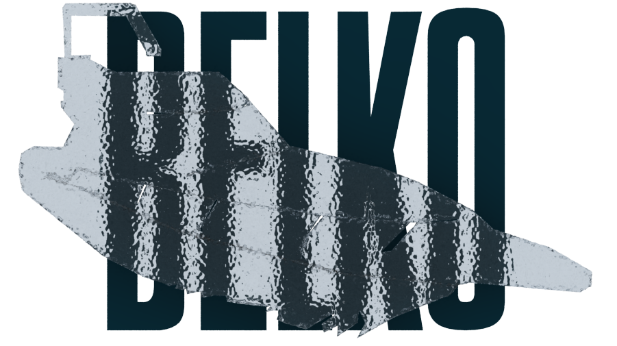 Diseño de Logo por JPT.Designs para Belko Nautical Group, LLC | Diseño #2128243