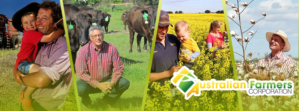 Facebook Design by jba_GRAPHICS for Australian Farmers Corporation pty ltd | Design: #9565437