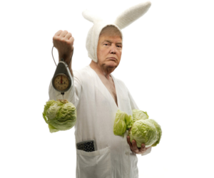 Photoshop Design Contest Submission #9631912