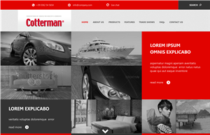 Web Design by Silverfox Studio for Prompt Internet Solutions, LLC | Design: #2093006