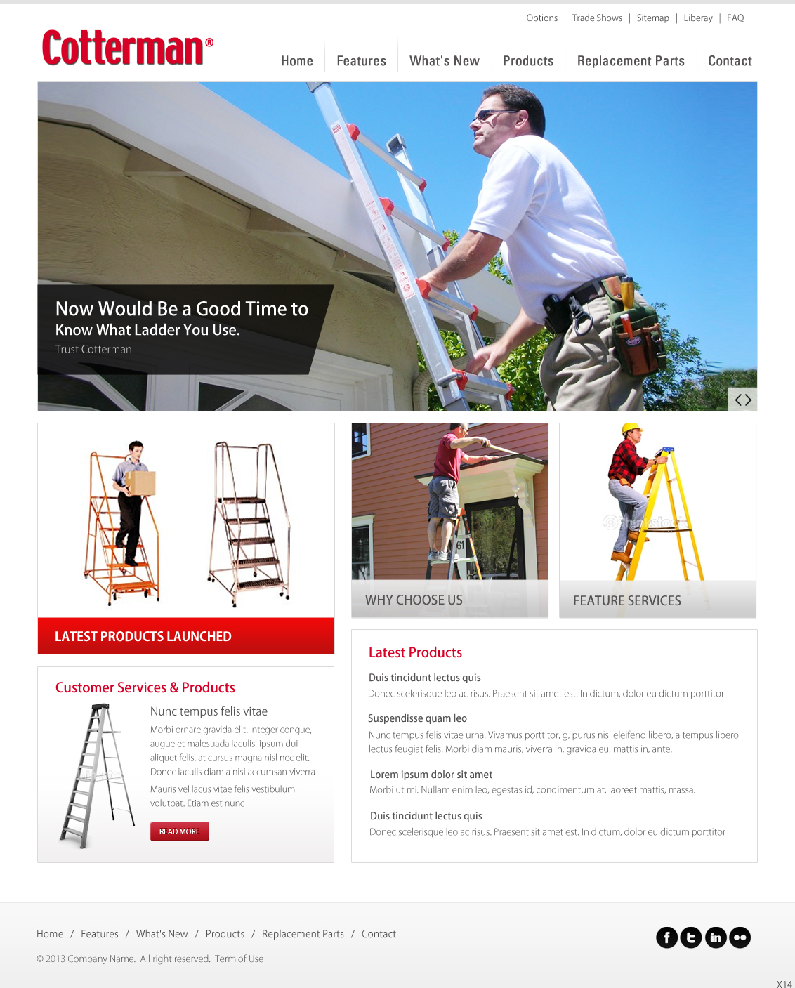 Web Design by pb for Prompt Internet Solutions, LLC | Design #2117858