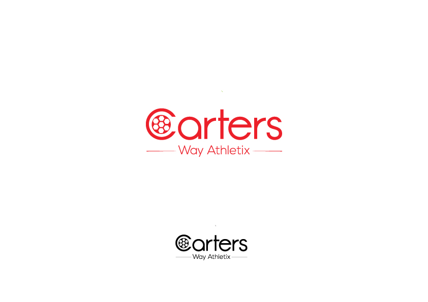 Logo Design by Zeeshan Ali for this project | Design #9540596