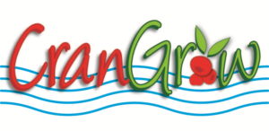 Logo Design by D-Anno