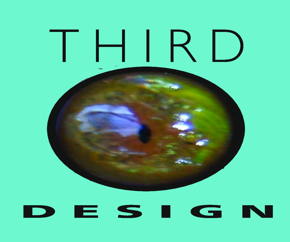 Logo Design by Bilalbilly for Third Eye Design | Design #2087502
