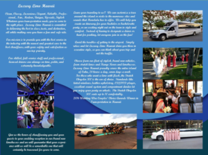 Flyer Design by iCreationsRSA for Luxury Limo Hawaii | Design #9614735