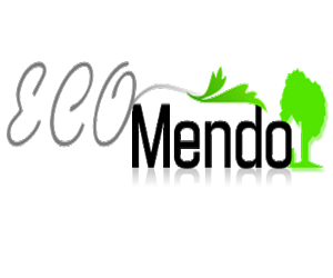Logo Design by Tshepo