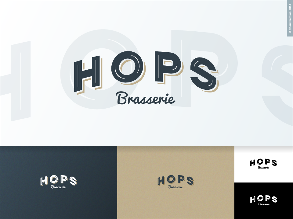 Logo Design by Raoul Camion for this project | Design #9790912