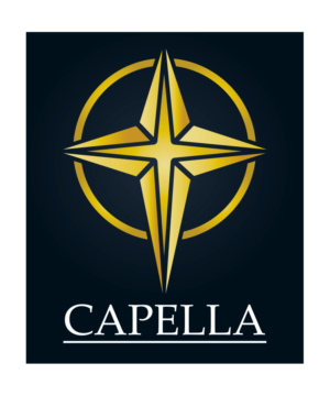 Design de Logo par lezgrafico pour ce projet | Design : #9602342