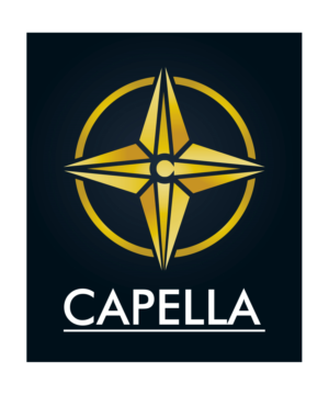 Design de Logo par lezgrafico pour ce projet | Design : #9603199