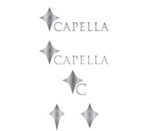 Design de Logo par Ves-Boycheva pour ce projet | Design : #9833068