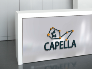 Design de Logo par hrahman25091979 pour ce projet | Design : #9599447