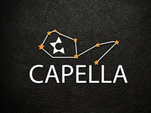 Design de Logo par hrahman25091979 pour ce projet | Design : #9599454